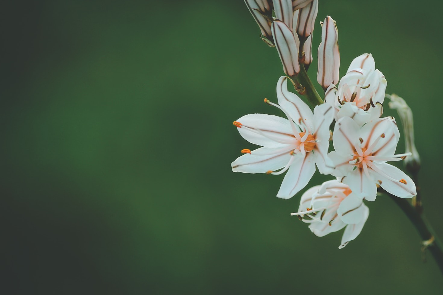 L&rsquo;importance de la confidentialité dans le conseil floral